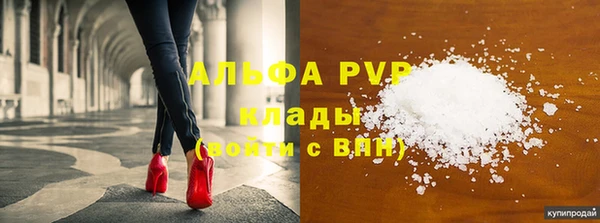 СК Бронницы