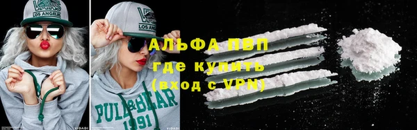 ешки Бородино