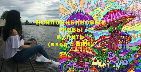 ешки Бородино