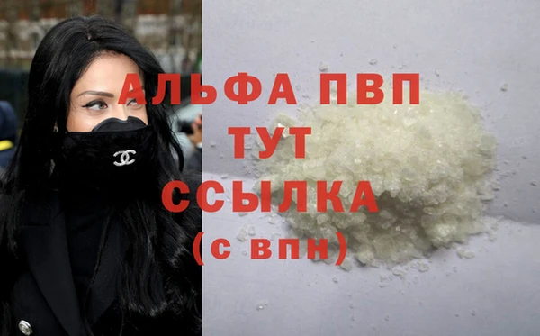 СК Бронницы