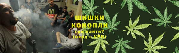 ешки Бородино