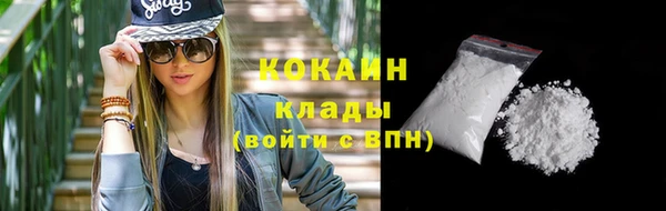 ешки Бородино
