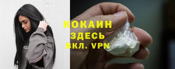 ешки Бородино