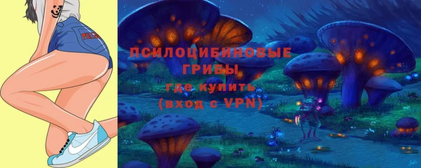 СК Бронницы